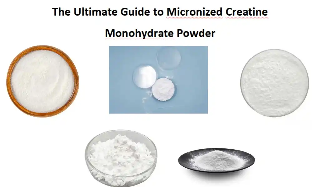The Ultimate Guide to Micronized Creatine Monohydrate Powder